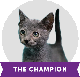 The Champion